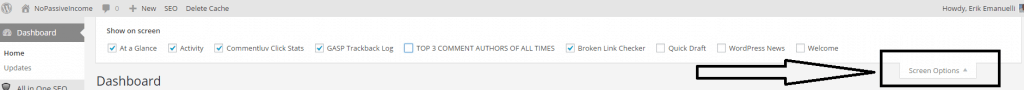 Screen options on NoPassiveIncome WP dashboard 